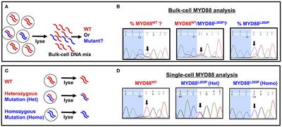 Cytologic and Molecular Diagnostics for Vitreoretinal Lymphoma: Current Approaches and Emerging Single-Cell Analyses